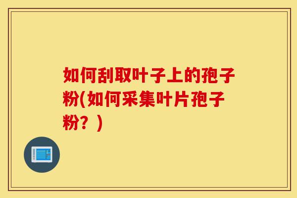 如何刮取叶子上的孢子粉(如何采集叶片孢子粉?)-第1张图片-灵芝之家 如何刮取叶子上的孢子粉(如何采集叶片孢子粉?)-第1张图片-灵芝之家