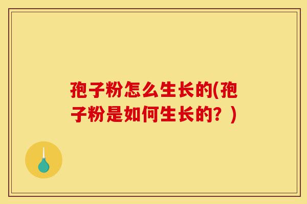 孢子粉怎么生长的(孢子粉是如何生长的?)-第1张图片-灵芝之家 孢子粉怎么生长的(孢子粉是如何生长的?)-第1张图片-灵芝之家