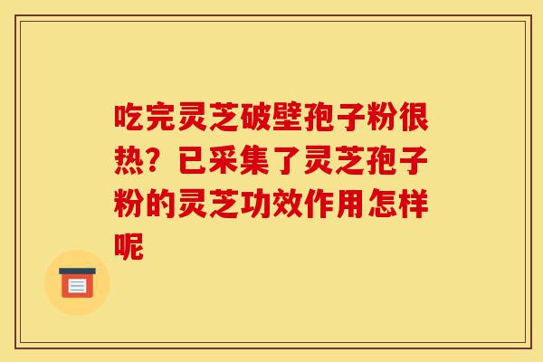 吃完灵芝破壁孢子粉很热？已采集了灵芝孢子粉的灵芝功效作用怎样呢-第1张图片-灵芝之家