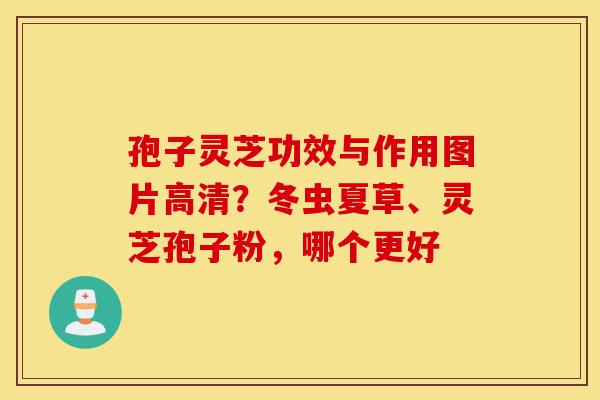 孢子灵芝功效与作用图片高清?冬虫夏草、灵芝孢子粉,哪个更好-第1张图片-灵芝之家 孢子灵芝功效与作用图片高清?冬虫夏草、灵芝孢子粉,哪个更好-第1张图片-灵芝之家