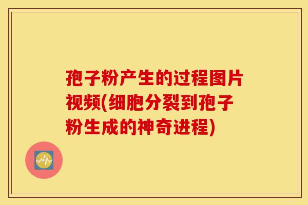 孢子粉产生的过程图片视频(细胞分裂到孢子粉生成的神奇进程)-第1张图片-灵芝之家 孢子粉产生的过程图片视频(细胞分裂到孢子粉生成的神奇进程)-第1张图片-灵芝之家