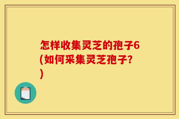 怎样收集灵芝的孢子6(如何采集灵芝孢子？)-第1张图片-灵芝之家