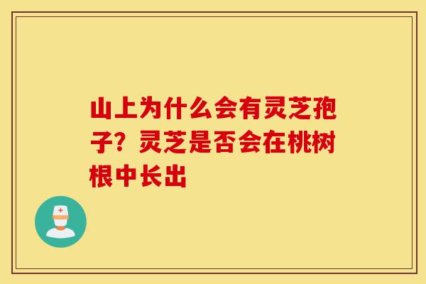 山上为什么会有灵芝孢子?灵芝是否会在桃树根中长出-第1张图片-灵芝之家 山上为什么会有灵芝孢子?灵芝是否会在桃树根中长出-第1张图片-灵芝之家
