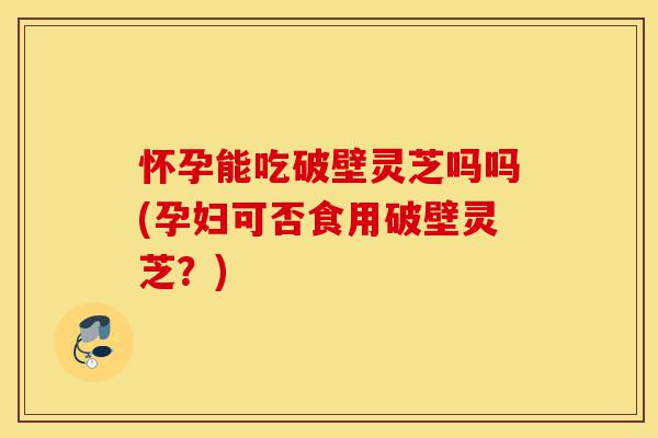 怀孕能吃破壁灵芝吗吗(孕妇可否食用破壁灵芝?)-第1张图片-灵芝之家 怀孕能吃破壁灵芝吗吗(孕妇可否食用破壁灵芝?)-第1张图片-灵芝之家