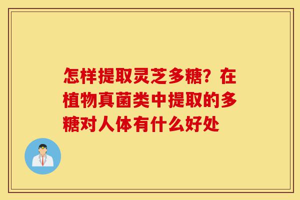 怎样提取灵芝多糖?在植物真菌类中提取的多糖对人体有什么好处-第1张图片-灵芝之家 怎样提取灵芝多糖?在植物真菌类中提取的多糖对人体有什么好处-第1张图片-灵芝之家