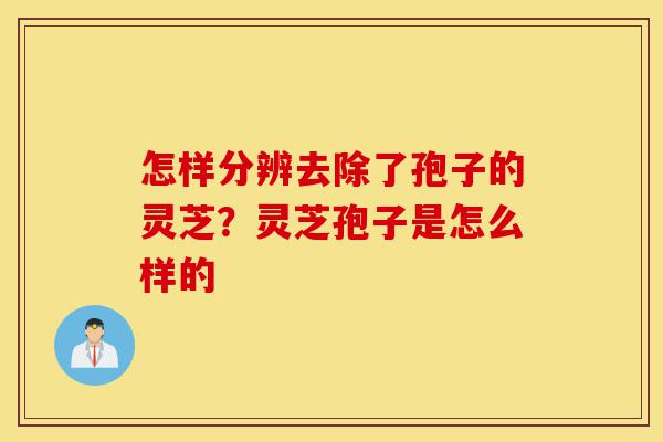 怎样分辨去除了孢子的灵芝?灵芝孢子是怎么样的-第1张图片-灵芝之家 怎样分辨去除了孢子的灵芝?灵芝孢子是怎么样的-第1张图片-灵芝之家