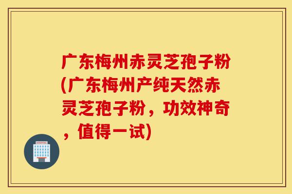 广东梅州赤灵芝孢子粉(广东梅州产纯天然赤灵芝孢子粉，功效神奇，值得一试)-第1张图片-灵芝之家
