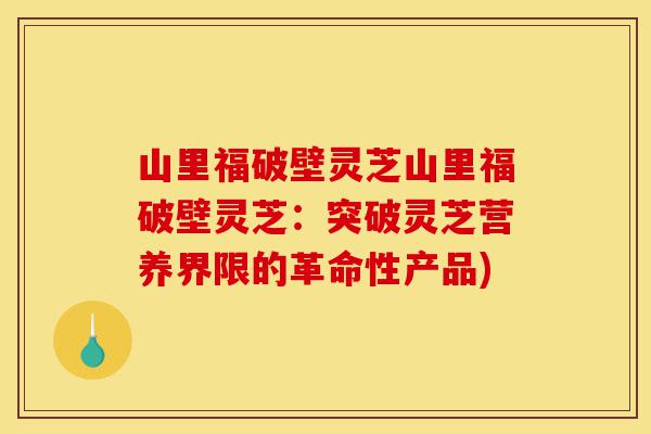 山里福破壁灵芝山里福破壁灵芝:突破灵芝营养界限的革命性产品)-第1张图片-灵芝之家 山里福破壁灵芝山里福破壁灵芝:突破灵芝营养界限的革命性产品)-第1张图片-灵芝之家