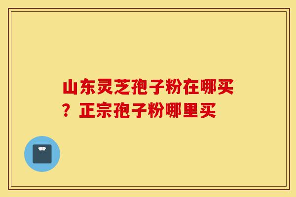 山东灵芝孢子粉在哪买?正宗孢子粉哪里买-第1张图片-灵芝之家 山东灵芝孢子粉在哪买?正宗孢子粉哪里买-第1张图片-灵芝之家