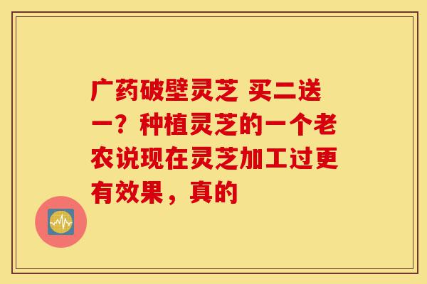 广药破壁灵芝 买二送一?种植灵芝的一个老农说现在灵芝加工过更有效果,真的-第1张图片-灵芝之家 广药破壁灵芝 买二送一?种植灵芝的一个老农说现在灵芝加工过更有效果,真的-第1张图片-灵芝之家