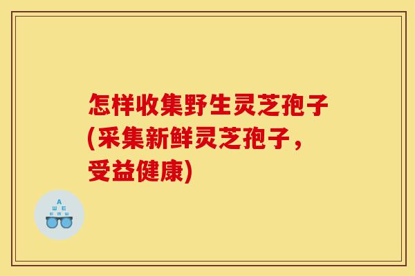 怎样收集野生灵芝孢子(采集新鲜灵芝孢子，受益健康)-第1张图片-灵芝之家