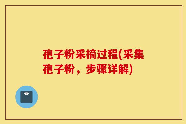 孢子粉采摘过程(采集孢子粉，步骤详解)-第1张图片-灵芝之家