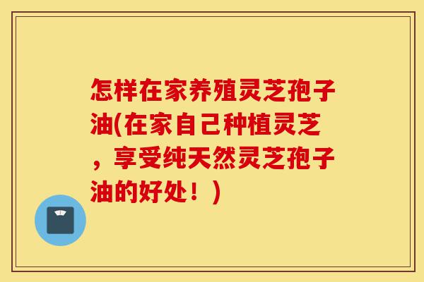 怎样在家养殖灵芝孢子油(在家自己种植灵芝,享受纯天然灵芝孢子油的好处!)-第1张图片-灵芝之家 怎样在家养殖灵芝孢子油(在家自己种植灵芝,享受纯天然灵芝孢子油的好处!)-第1张图片-灵芝之家