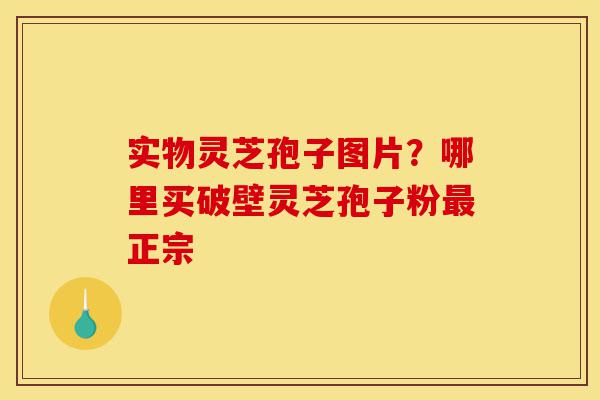 实物灵芝孢子图片?哪里买破壁灵芝孢子粉最正宗-第1张图片-灵芝之家 实物灵芝孢子图片?哪里买破壁灵芝孢子粉最正宗-第1张图片-灵芝之家