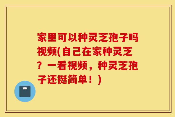 家里可以种灵芝孢子吗视频(自己在家种灵芝?一看视频,种灵芝孢子还挺简单!)-第1张图片-灵芝之家 家里可以种灵芝孢子吗视频(自己在家种灵芝?一看视频,种灵芝孢子还挺简单!)-第1张图片-灵芝之家