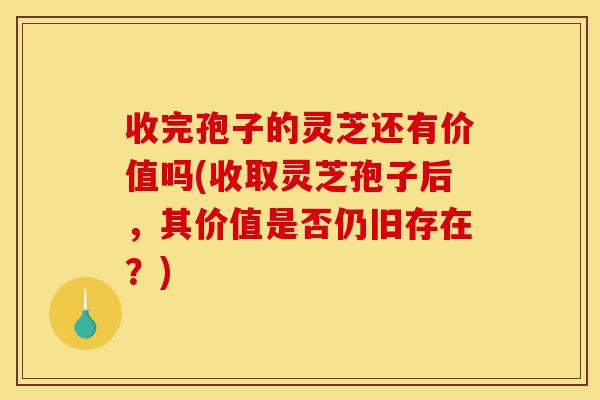 收完孢子的灵芝还有价值吗(收取灵芝孢子后,其价值是否仍旧存在?)-第1张图片-灵芝之家 收完孢子的灵芝还有价值吗(收取灵芝孢子后,其价值是否仍旧存在?)-第1张图片-灵芝之家