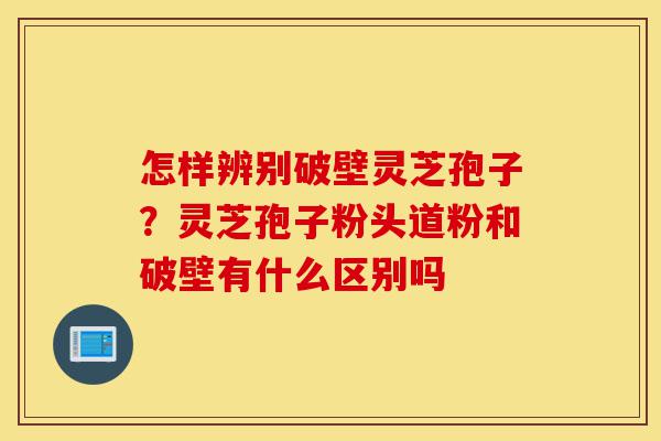 怎样辨别破壁灵芝孢子?灵芝孢子粉头道粉和破壁有什么区别吗-第1张图片-灵芝之家 怎样辨别破壁灵芝孢子?灵芝孢子粉头道粉和破壁有什么区别吗-第1张图片-灵芝之家
