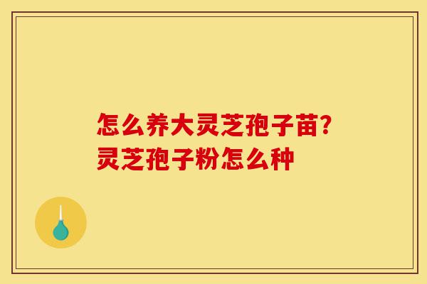 怎么养大灵芝孢子苗?灵芝孢子粉怎么种-第1张图片-灵芝之家 怎么养大灵芝孢子苗?灵芝孢子粉怎么种-第1张图片-灵芝之家