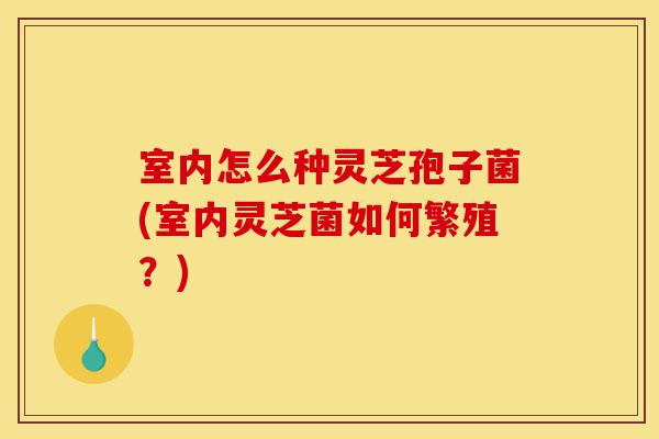 室内怎么种灵芝孢子菌(室内灵芝菌如何繁殖?)-第1张图片-灵芝之家 室内怎么种灵芝孢子菌(室内灵芝菌如何繁殖?)-第1张图片-灵芝之家