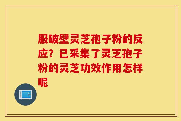 服破壁灵芝孢子粉的反应?已采集了灵芝孢子粉的灵芝功效作用怎样呢-第1张图片-灵芝之家 服破壁灵芝孢子粉的反应?已采集了灵芝孢子粉的灵芝功效作用怎样呢-第1张图片-灵芝之家