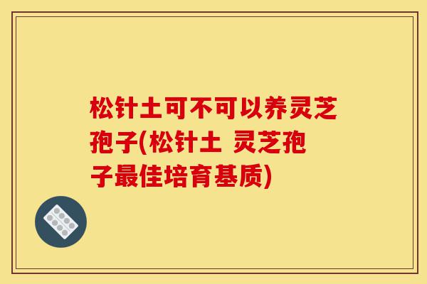 松针土可不可以养灵芝孢子(松针土 灵芝孢子最佳培育基质)-第1张图片-灵芝之家 松针土可不可以养灵芝孢子(松针土 灵芝孢子最佳培育基质)-第1张图片-灵芝之家