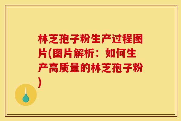 林芝孢子粉生产过程图片(图片解析:如何生产高质量的林芝孢子粉)-第1张图片-灵芝之家 林芝孢子粉生产过程图片(图片解析:如何生产高质量的林芝孢子粉)-第1张图片-灵芝之家
