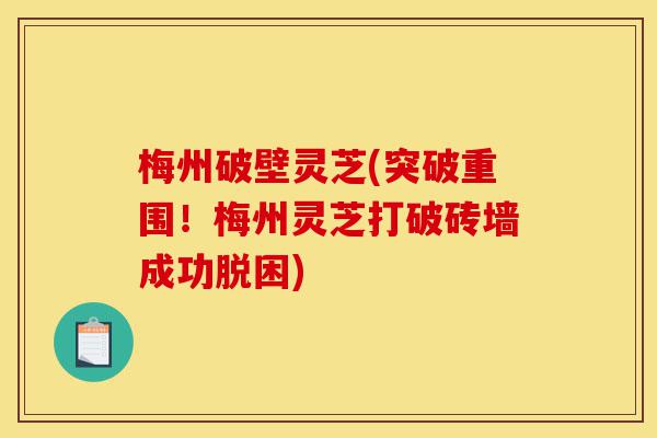 梅州破壁灵芝(突破重围!梅州灵芝打破砖墙成功脱困)-第1张图片-灵芝之家 梅州破壁灵芝(突破重围!梅州灵芝打破砖墙成功脱困)-第1张图片-灵芝之家