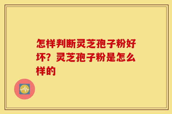 怎样判断灵芝孢子粉好坏?灵芝孢子粉是怎么样的-第1张图片-灵芝之家 怎样判断灵芝孢子粉好坏?灵芝孢子粉是怎么样的-第1张图片-灵芝之家