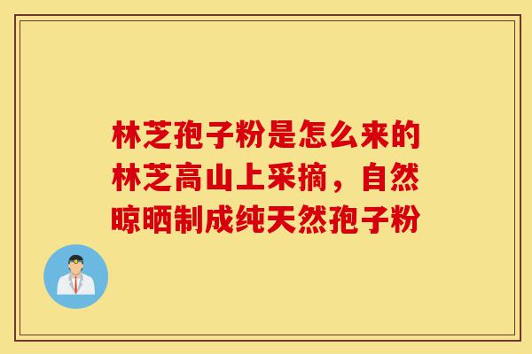 林芝孢子粉是怎么来的林芝高山上采摘,自然晾晒制成纯天然孢子粉-第1张图片-灵芝之家 林芝孢子粉是怎么来的林芝高山上采摘,自然晾晒制成纯天然孢子粉-第1张图片-灵芝之家