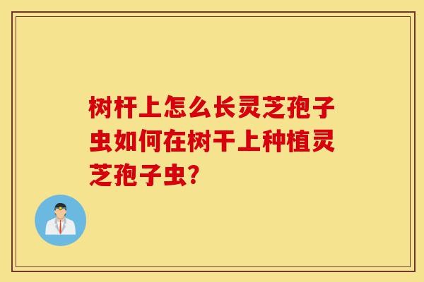树杆上怎么长灵芝孢子虫如何在树干上种植灵芝孢子虫?-第1张图片-灵芝之家 树杆上怎么长灵芝孢子虫如何在树干上种植灵芝孢子虫?-第1张图片-灵芝之家
