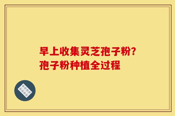 早上收集灵芝孢子粉?孢子粉种植全过程-第1张图片-灵芝之家 早上收集灵芝孢子粉?孢子粉种植全过程-第1张图片-灵芝之家
