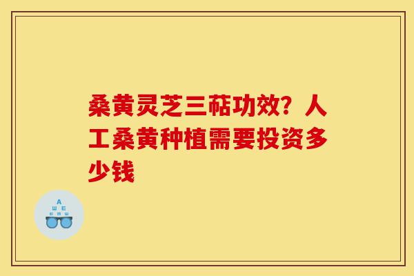 桑黄灵芝三萜功效?人工桑黄种植需要投资多少钱-第1张图片-灵芝之家 桑黄灵芝三萜功效?人工桑黄种植需要投资多少钱-第1张图片-灵芝之家