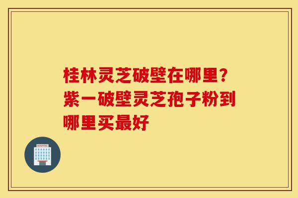 桂林灵芝破壁在哪里?紫一破壁灵芝孢子粉到哪里买最好-第1张图片-灵芝之家 桂林灵芝破壁在哪里?紫一破壁灵芝孢子粉到哪里买最好-第1张图片-灵芝之家