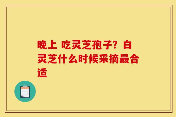 晚上 吃灵芝孢子?白灵芝什么时候采摘最合适-第1张图片-灵芝之家 晚上 吃灵芝孢子?白灵芝什么时候采摘最合适-第1张图片-灵芝之家