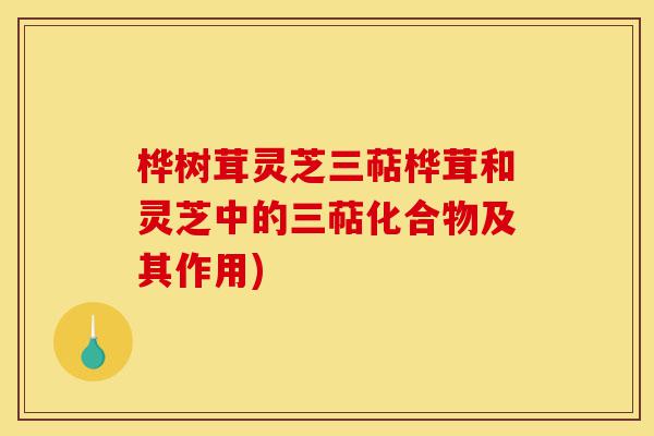桦树茸灵芝三萜桦茸和灵芝中的三萜化合物及其作用)-第1张图片-灵芝之家 桦树茸灵芝三萜桦茸和灵芝中的三萜化合物及其作用)-第1张图片-灵芝之家