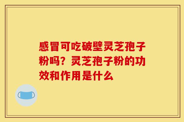 感冒可吃破壁灵芝孢子粉吗?灵芝孢子粉的功效和作用是什么-第1张图片-灵芝之家 感冒可吃破壁灵芝孢子粉吗?灵芝孢子粉的功效和作用是什么-第1张图片-灵芝之家