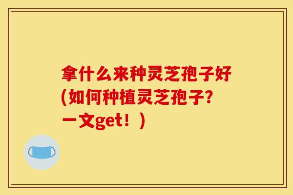 拿什么来种灵芝孢子好(如何种植灵芝孢子?一文get!)-第1张图片-灵芝之家 拿什么来种灵芝孢子好(如何种植灵芝孢子?一文get!)-第1张图片-灵芝之家