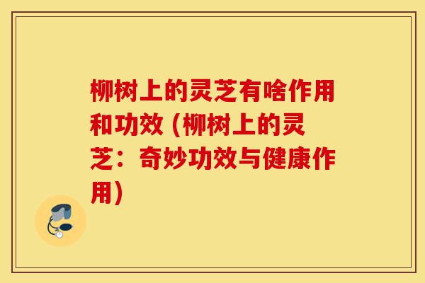 柳树上的灵芝有啥作用和功效 (柳树上的灵芝:奇妙功效与健康作用)-第1张图片-灵芝之家 柳树上的灵芝有啥作用和功效 (柳树上的灵芝:奇妙功效与健康作用)-第1张图片-灵芝之家