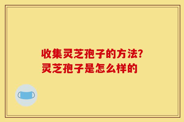 收集灵芝孢子的方法?灵芝孢子是怎么样的-第1张图片-灵芝之家 收集灵芝孢子的方法?灵芝孢子是怎么样的-第1张图片-灵芝之家