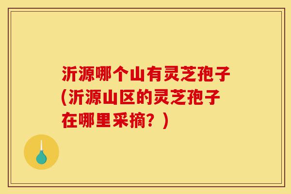 沂源哪个山有灵芝孢子(沂源山区的灵芝孢子在哪里采摘?)-第1张图片-灵芝之家 沂源哪个山有灵芝孢子(沂源山区的灵芝孢子在哪里采摘?)-第1张图片-灵芝之家