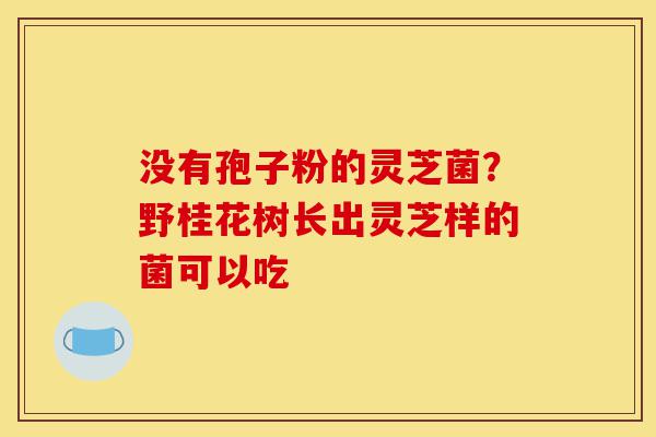 没有孢子粉的灵芝菌？野桂花树长出灵芝样的菌可以吃-第1张图片-灵芝之家