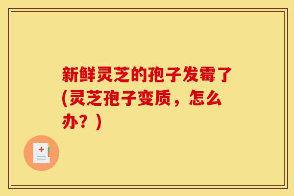 新鲜灵芝的孢子发霉了(灵芝孢子变质,怎么办?)-第1张图片-灵芝之家 新鲜灵芝的孢子发霉了(灵芝孢子变质,怎么办?)-第1张图片-灵芝之家