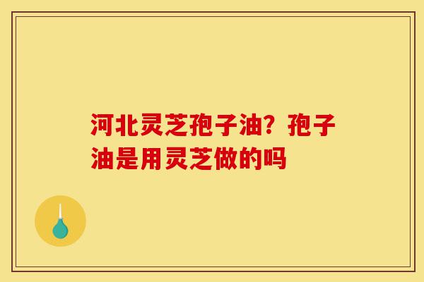 河北灵芝孢子油?孢子油是用灵芝做的吗-第1张图片-灵芝之家 河北灵芝孢子油?孢子油是用灵芝做的吗-第1张图片-灵芝之家