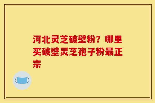 河北灵芝破壁粉?哪里买破壁灵芝孢子粉最正宗-第1张图片-灵芝之家 河北灵芝破壁粉?哪里买破壁灵芝孢子粉最正宗-第1张图片-灵芝之家