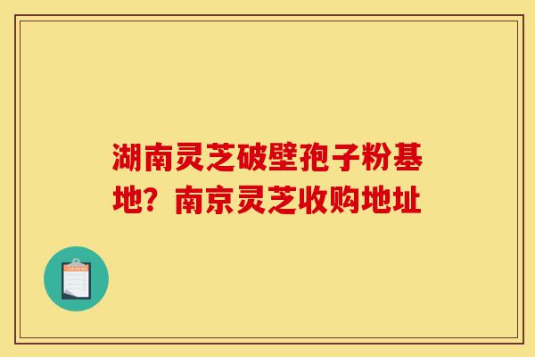 湖南灵芝破壁孢子粉基地？南京灵芝收购地址-第1张图片-灵芝之家