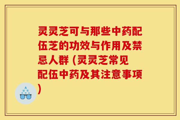 灵灵芝可与那些中药配伍芝的功效与作用及禁忌人群 (灵灵芝常见配伍中药及其注意事项)-第1张图片-灵芝之家 灵灵芝可与那些中药配伍芝的功效与作用及禁忌人群 (灵灵芝常见配伍中药及其注意事项)-第1张图片-灵芝之家