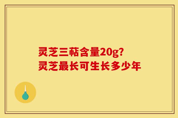 灵芝三萜含量20g?灵芝最长可生长多少年-第1张图片-灵芝之家 灵芝三萜含量20g?灵芝最长可生长多少年-第1张图片-灵芝之家