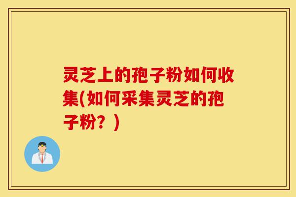 灵芝上的孢子粉如何收集(如何采集灵芝的孢子粉？)-第1张图片-灵芝之家