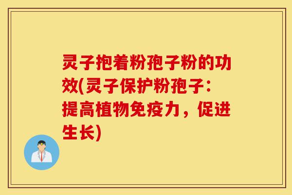 灵子抱着粉孢子粉的功效(灵子保护粉孢子:提高植物免疫力,促进生长)-第1张图片-灵芝之家 灵子抱着粉孢子粉的功效(灵子保护粉孢子:提高植物免疫力,促进生长)-第1张图片-灵芝之家