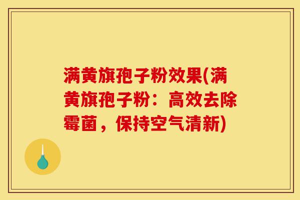满黄旗孢子粉效果(满黄旗孢子粉:高效去除霉菌,保持空气清新)-第1张图片-灵芝之家 满黄旗孢子粉效果(满黄旗孢子粉:高效去除霉菌,保持空气清新)-第1张图片-灵芝之家